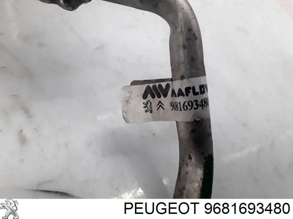 9681693480 Peugeot/Citroen 