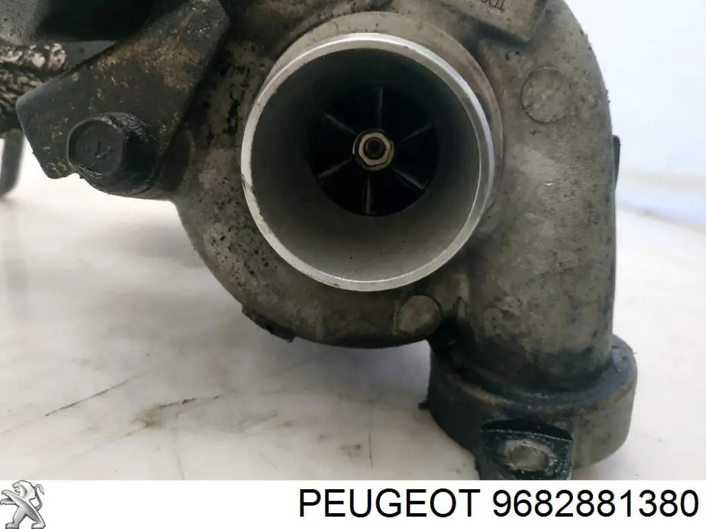 9682881380 Peugeot/Citroen Turbina