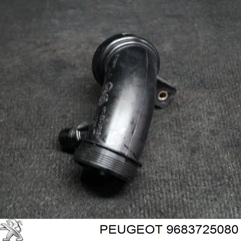 Compre 9683725080 Peugeot/Citroen 