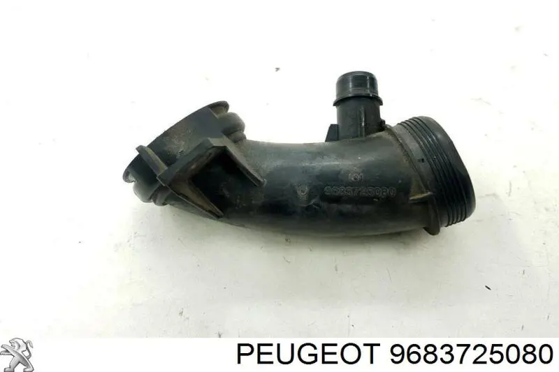  Peugeot/Citroen 9683725080