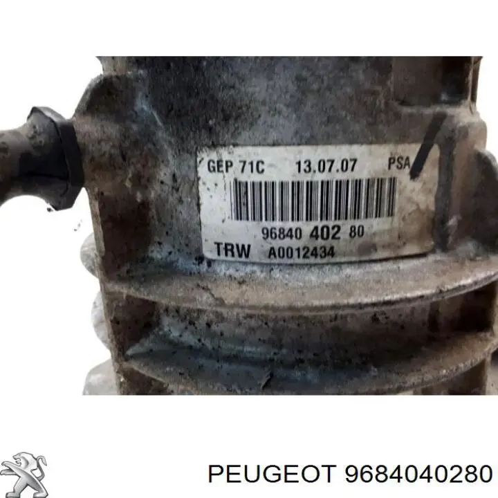 Compre 9684040280 Peugeot/Citroen Bomba da Direção hidrâulica assistida