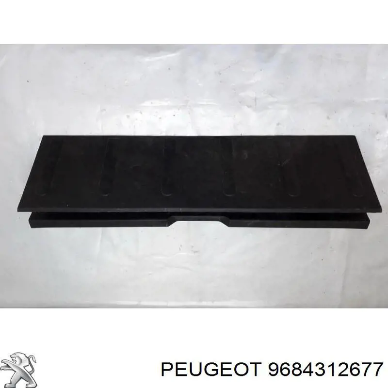 9684312677 Peugeot/Citroen 