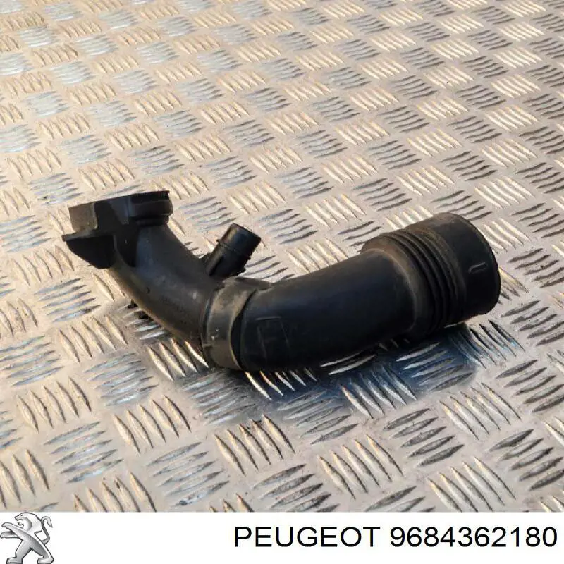  9684362180 Peugeot/Citroen