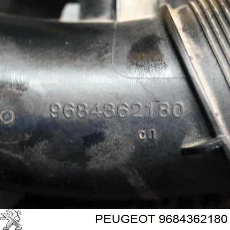 9684362180 Peugeot/Citroen 