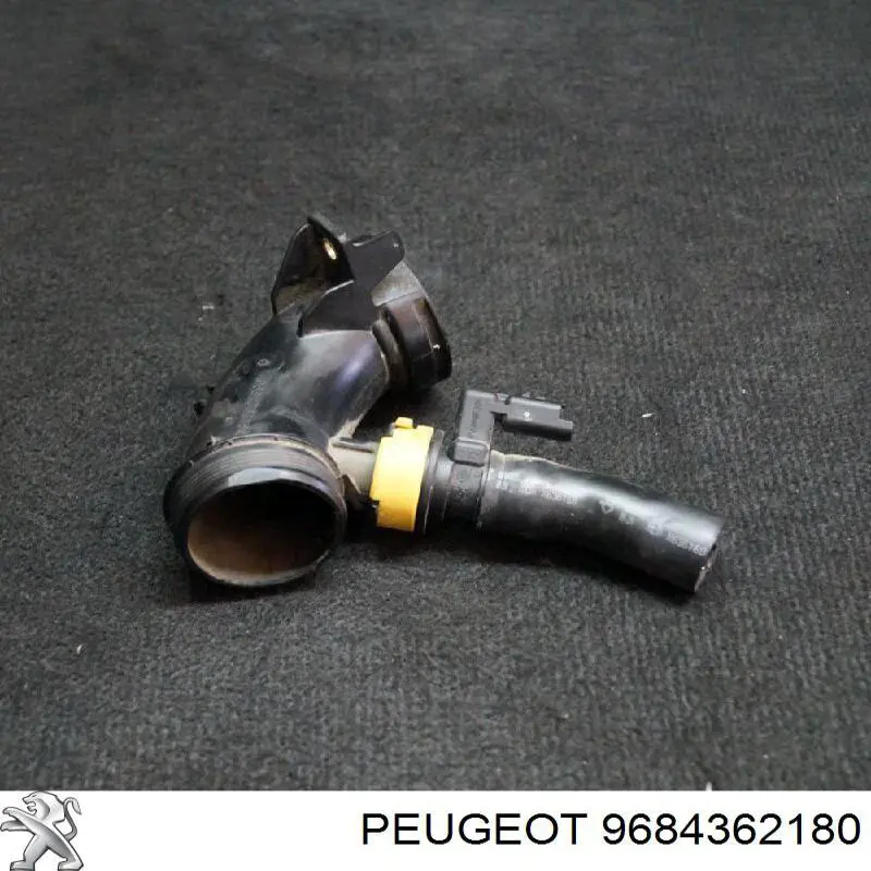  Peugeot/Citroen 9684362180