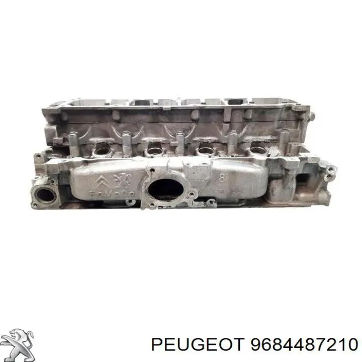 BCH123 FAI Cabeça de motor (CBC)
