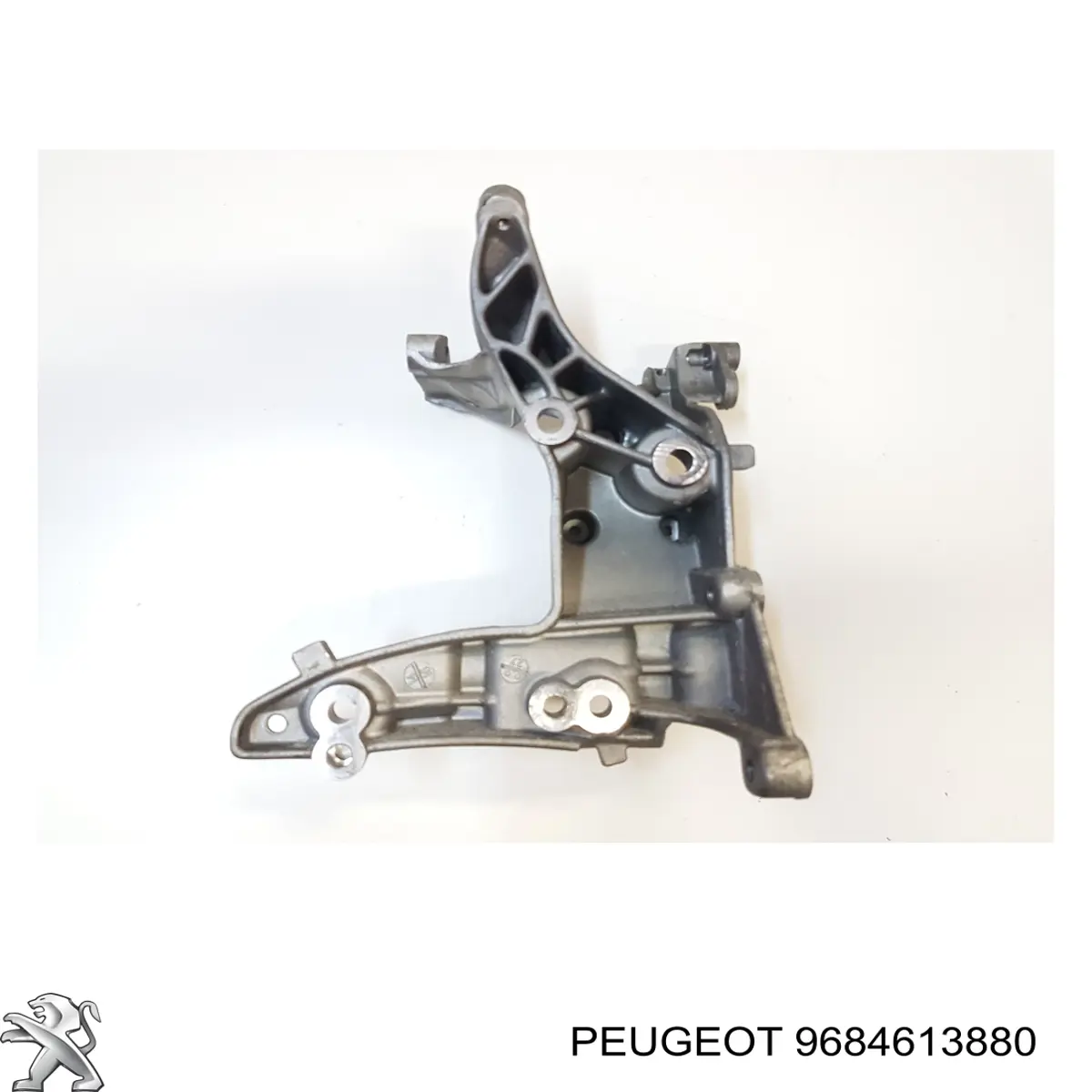  Peugeot/Citroen 9684613880