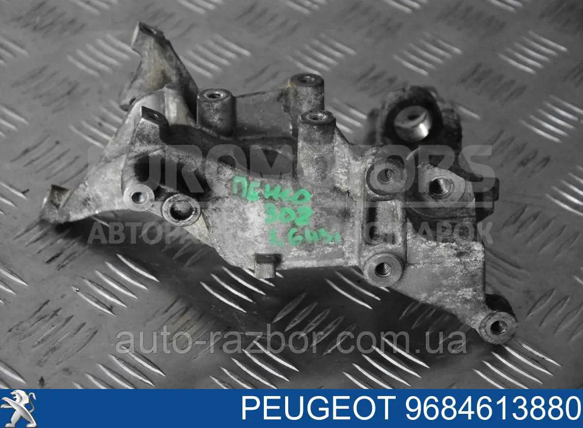 9684613880 Peugeot/Citroen 