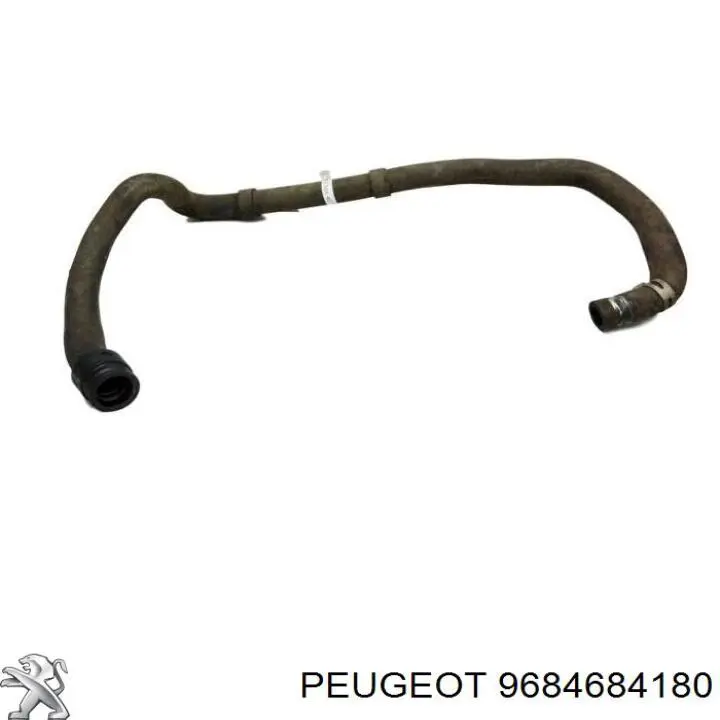  Peugeot/Citroen 9684684180