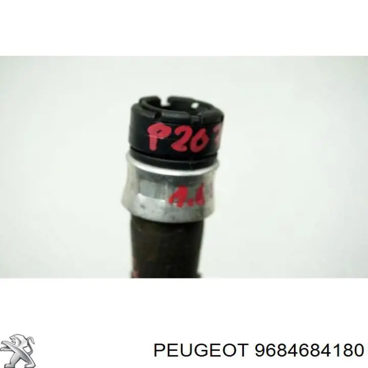 9684684180 Peugeot/Citroen 