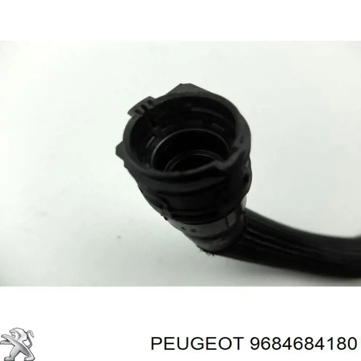 9684684180 Peugeot/Citroen 