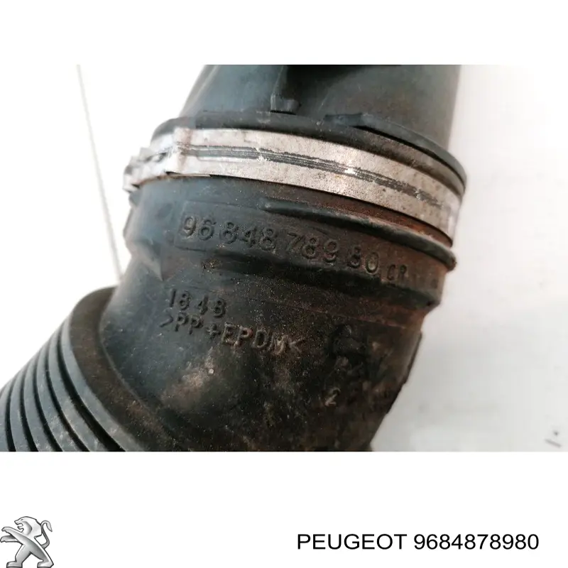 9684878980 Peugeot/Citroen 