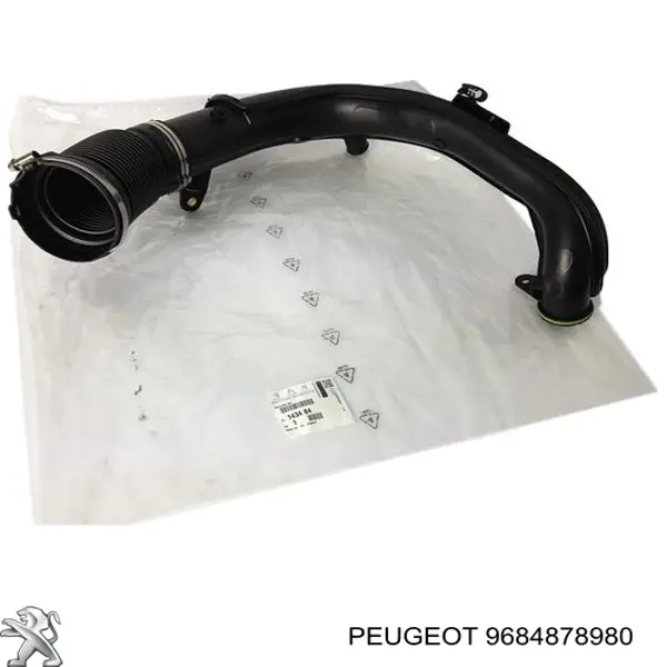  9684878980 Peugeot/Citroen