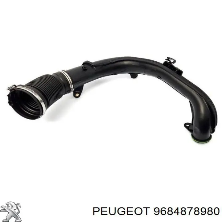  9684878980 Peugeot/Citroen
