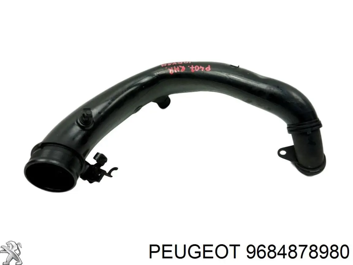  Peugeot/Citroen 9684878980