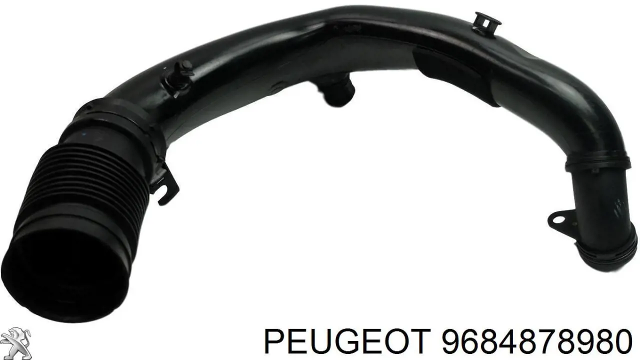 9684878980 Peugeot/Citroen 
