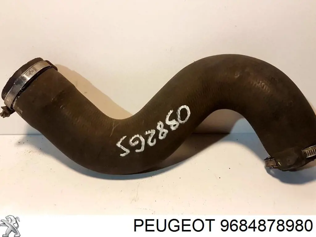 Compre 9684878980 Peugeot/Citroen 
