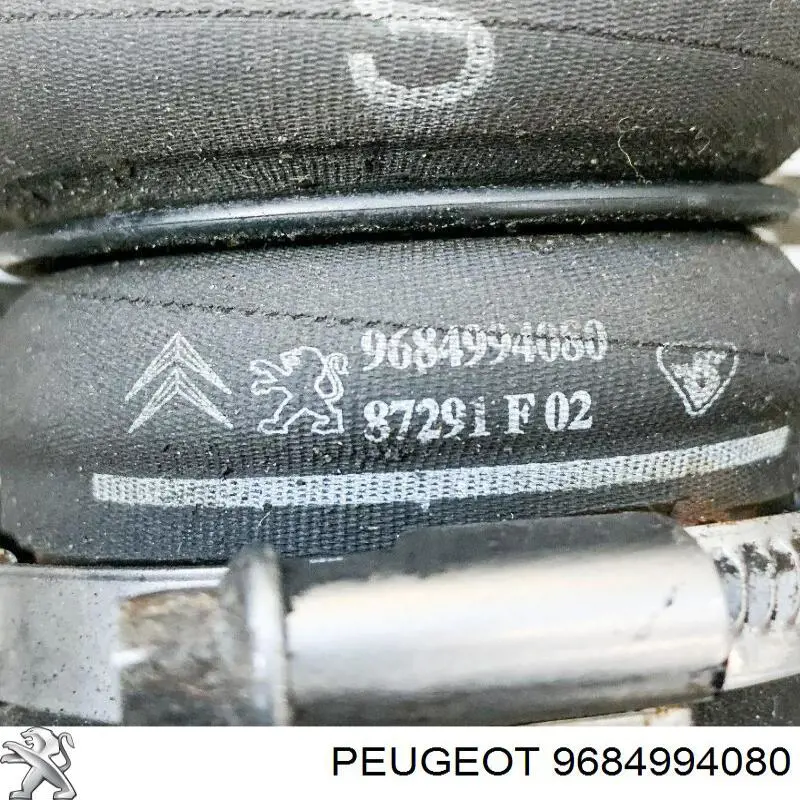 Compre 9684994080 Peugeot/Citroen Mangueira (cano derivado) de intercooler