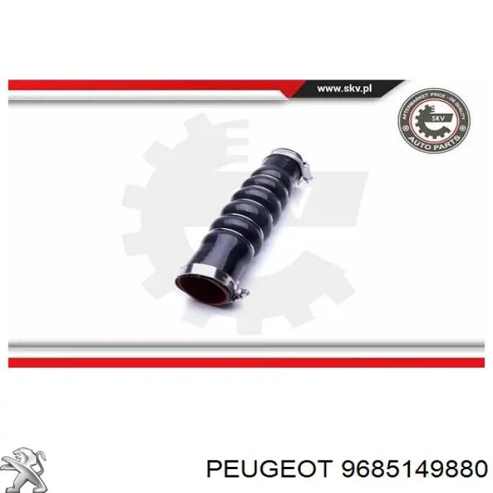 9685149880 Peugeot/Citroen Mangueira (cano derivado) de intercooler