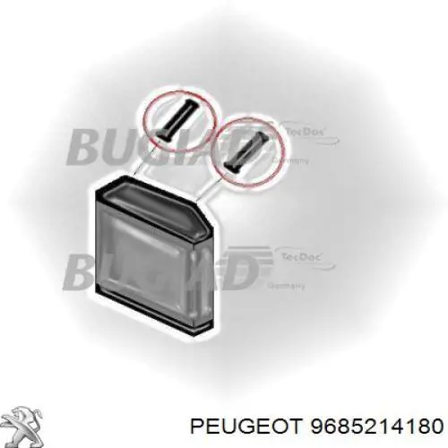 9685214180 Peugeot/Citroen Mangueira (cano derivado) de intercooler