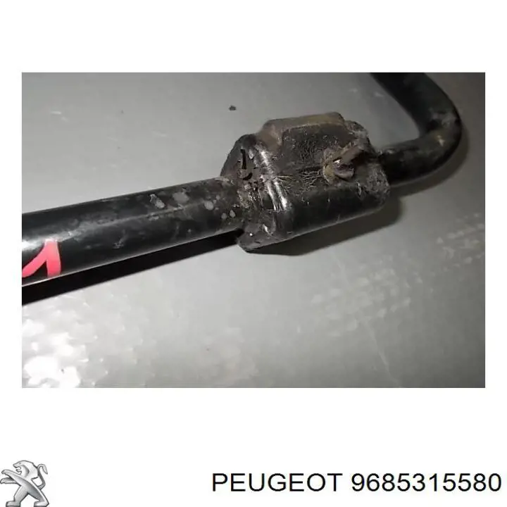 9685315580 Peugeot/Citroen 