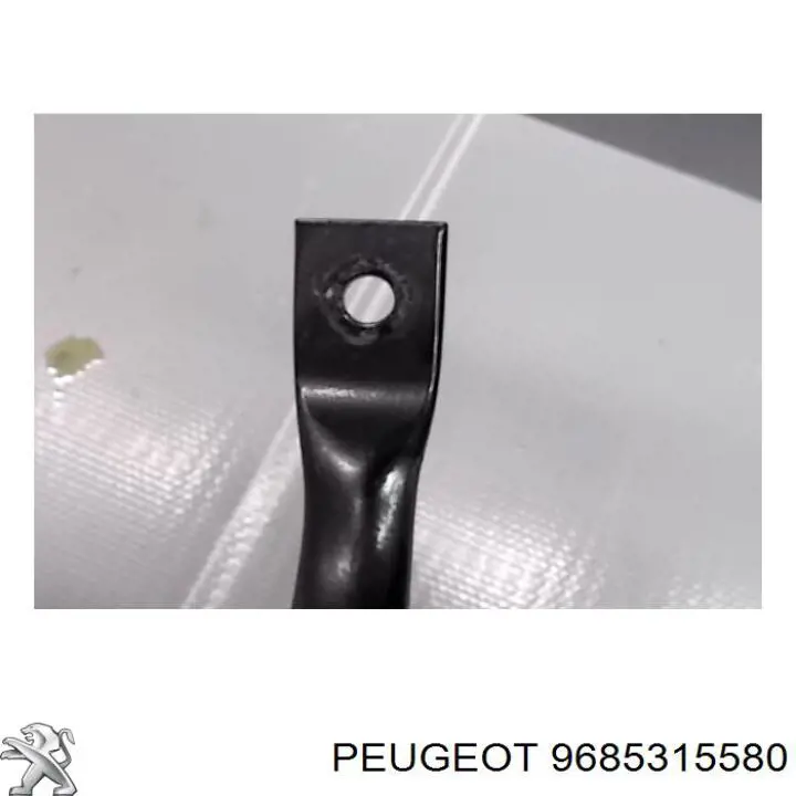  Peugeot/Citroen 9685315580