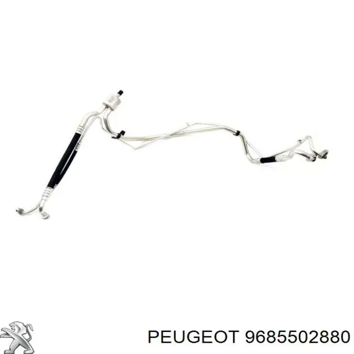  Peugeot/Citroen 9685502880