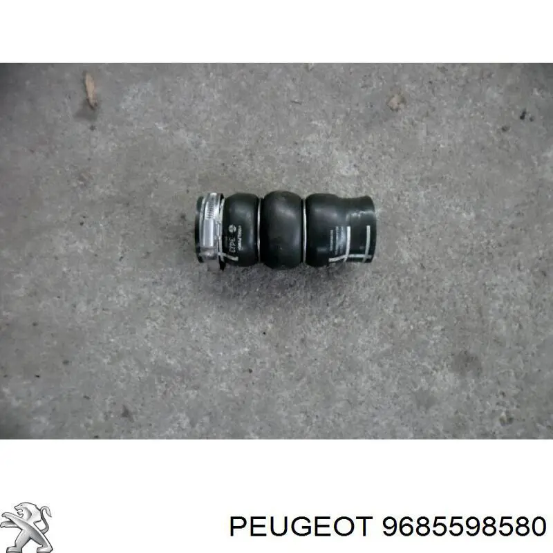 9685598580 Peugeot/Citroen Mangueira (cano derivado) de intercooler