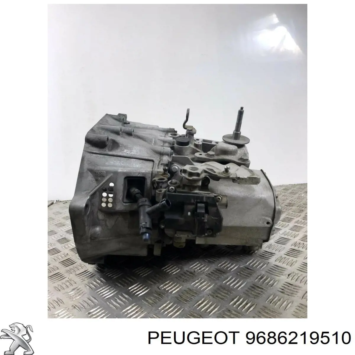 9686219510 Peugeot/Citroen 