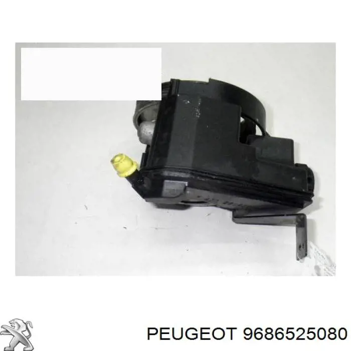 9686525080 Peugeot/Citroen Bomba da Direção hidrâulica assistida