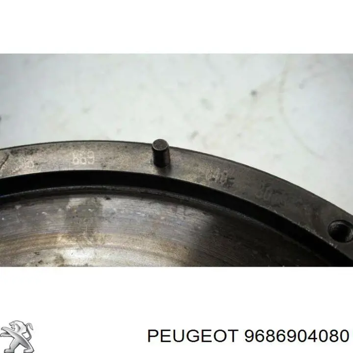 Volante de motor 415049310 INA