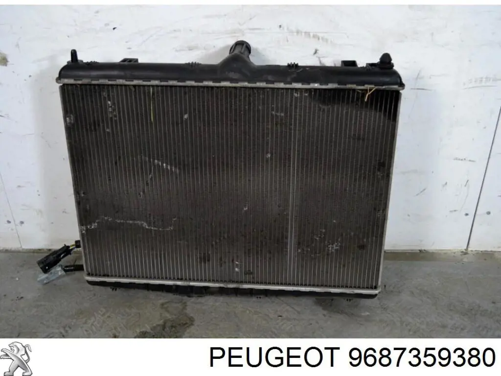 9687359380 Peugeot/Citroen 
