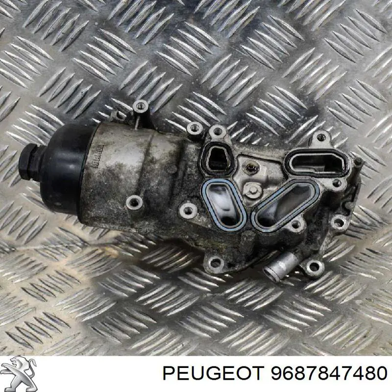 9687847480 Peugeot/Citroen Caixa do filtro de óleo