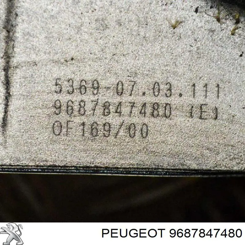 Compre 9687847480 Peugeot/Citroen Caixa do filtro de óleo