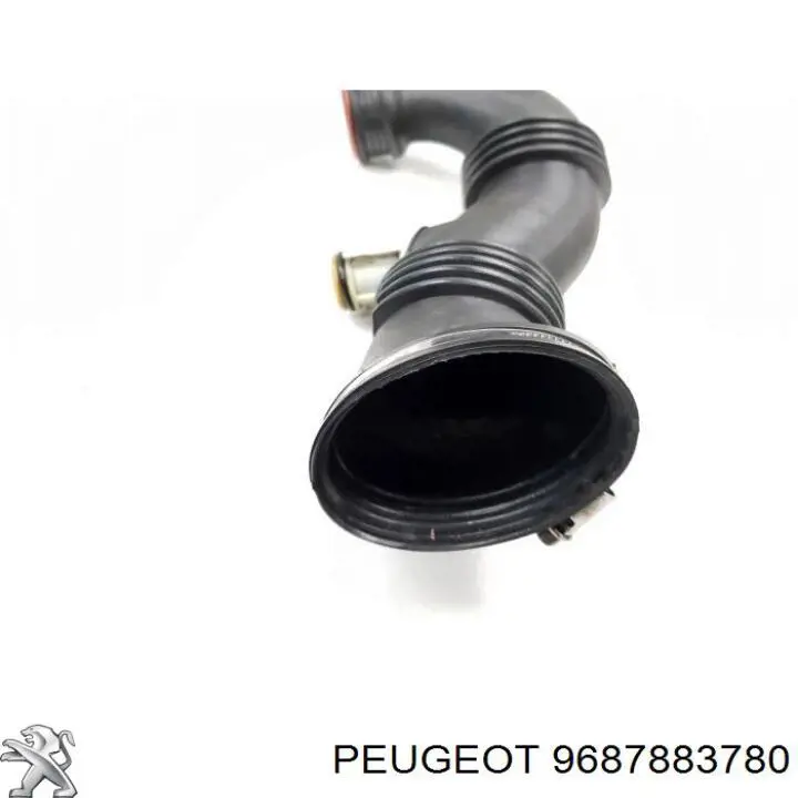  9687883780 Peugeot/Citroen