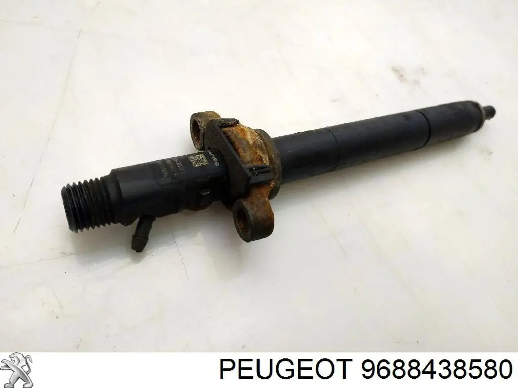 9688438580 Peugeot/Citroen 