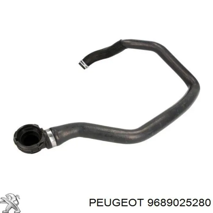 Compre 9689025280 Peugeot/Citroen Mangueira (cano derivado) inferior do radiador de esfriamento