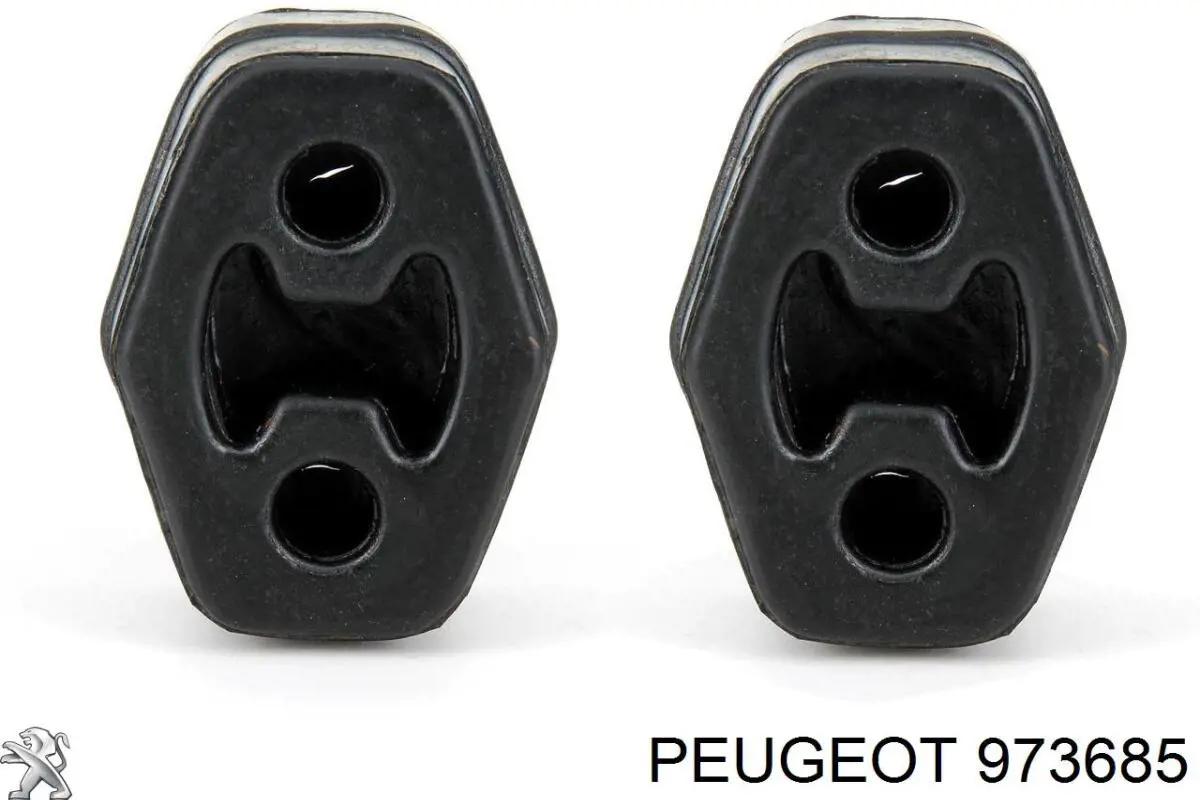 Compre 973685 Peugeot/Citroen Fluido para a limpeza de filtros de fuligem