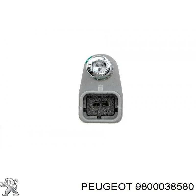 Sensor ABS traseiro 9800038580 Peugeot/Citroen