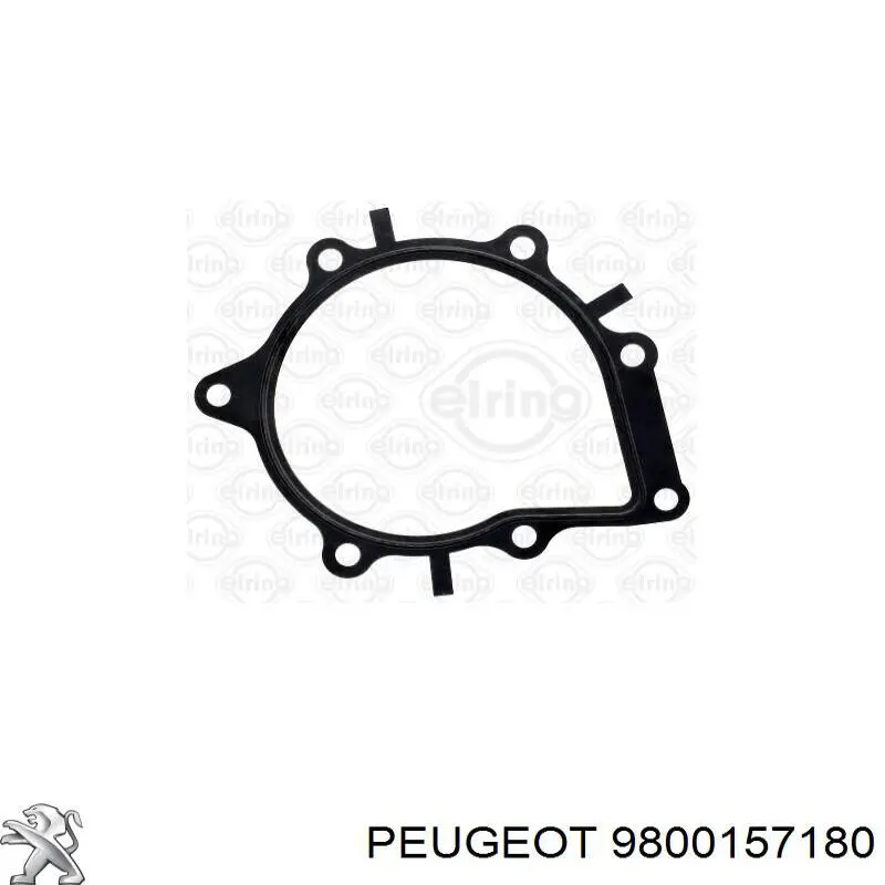 Vedante de bomba de vácuo 9800157180 Peugeot/Citroen