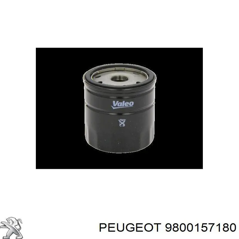 9800157180 Peugeot/Citroen Vedante de bomba de vácuo