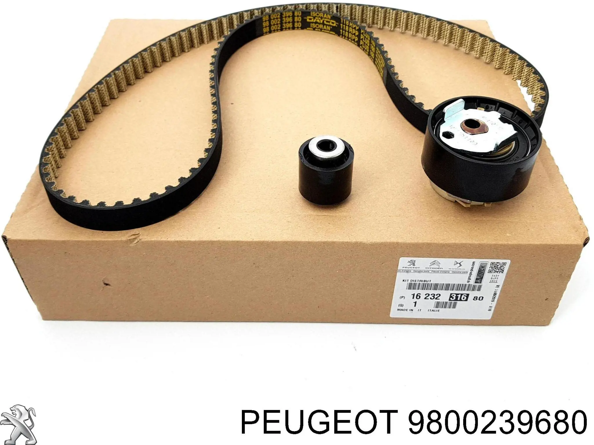 9800239680 Peugeot/Citroen Correia do mecanismo de distribuição de gás