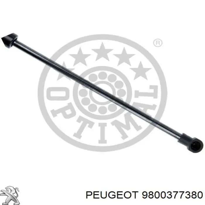 Amortecedor de tampa de porta-malas (de 3ª/5ª porta traseira) 9800377380 Peugeot/Citroen