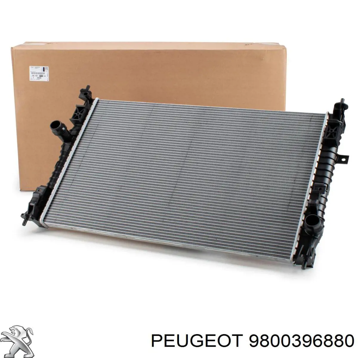 Vedante de caixa do termostato Peugeot/Citroen 9800396880