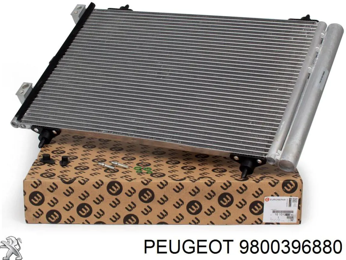 9800396880 Peugeot/Citroen Vedante de caixa do termostato