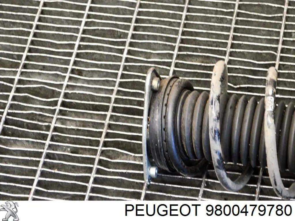 9800479780 Peugeot/Citroen Suporte de amortecedor dianteiro