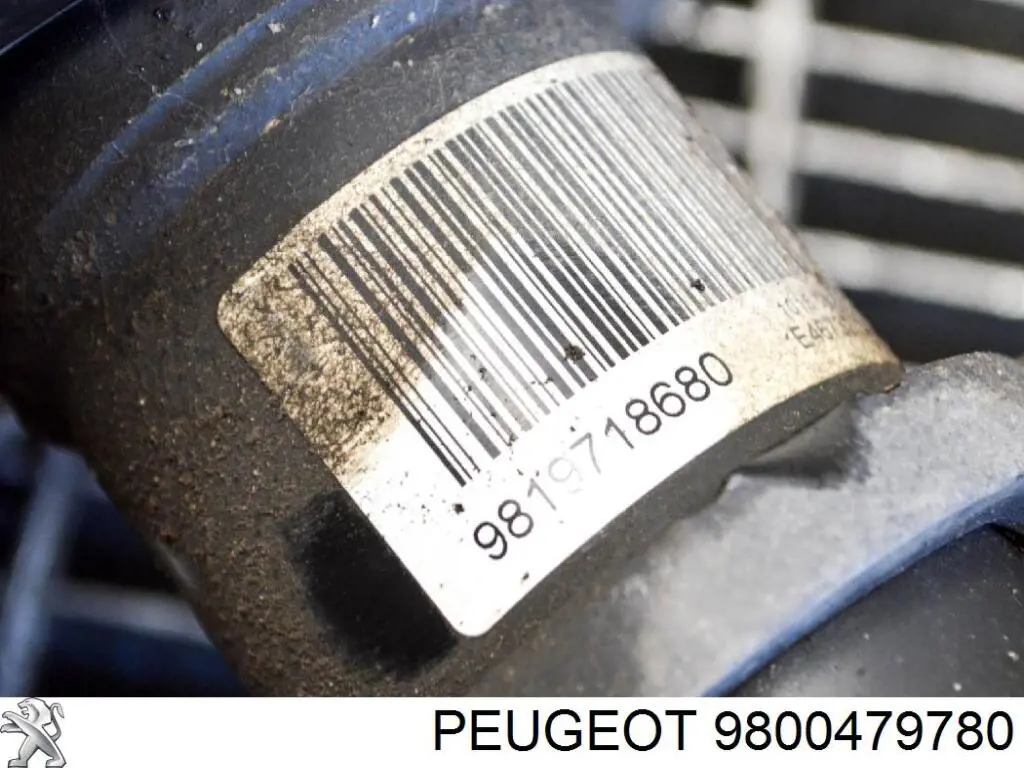 Suporte de amortecedor dianteiro 9800479780 Peugeot/Citroen