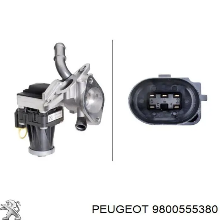 Compre 9800555380 Peugeot/Citroen Válvula EGR de recirculação dos gases