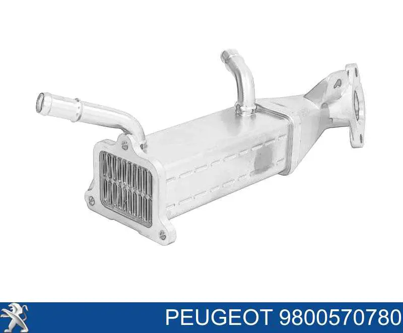 9800570780 Peugeot/Citroen Radiador do sistema EGR de recirculação dos gases de escape