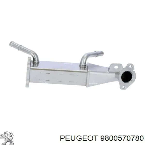 Compre 9800570780 Peugeot/Citroen Radiador do sistema EGR de recirculação dos gases de escape
